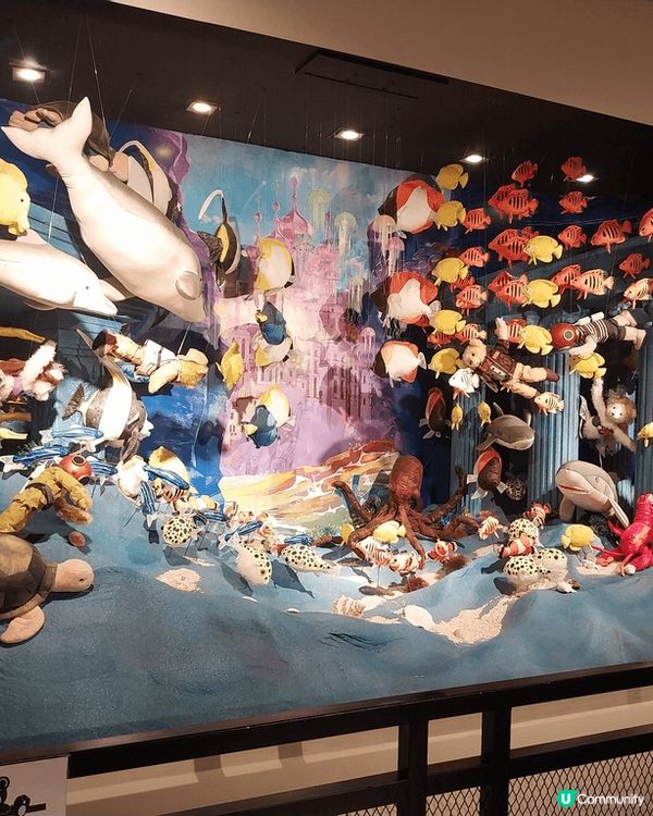 富国島Teddy Bear Museum ，好多好得意bea...