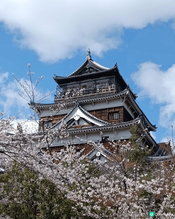 廣島櫻花之旅，風景美麗之餘也憶起戰爭遺下的哀痛