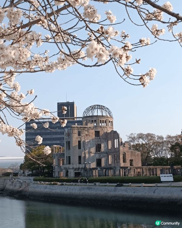 廣島櫻花之旅，風景美麗之餘也憶起戰爭遺下的哀痛