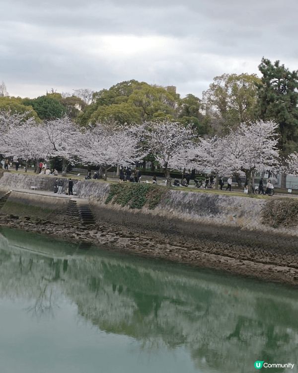 廣島櫻花之旅，風景美麗之餘也憶起戰爭遺下的哀痛