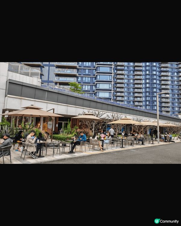 #沉醉樱花海 大白天遊深圳灣公園，天氣晴朗溫暖＇最適合約三五...