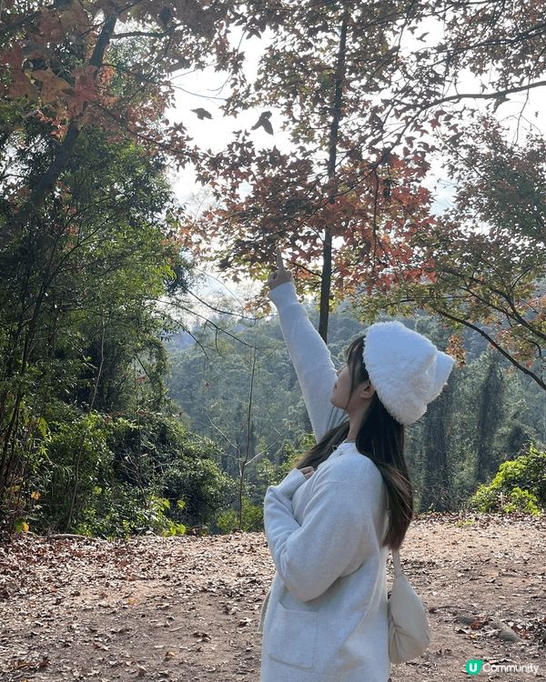 香港也有很多值得去看的風景，例如屯門的黃金海岸日落，元朗大棠...