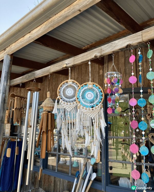 趕着澳洲夏天的尾巴,到south coast 享受陽光與海灘...