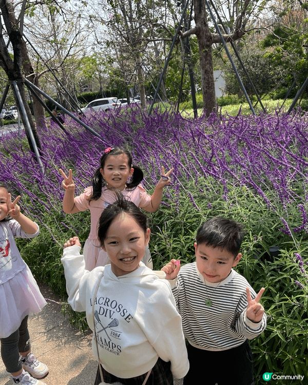 這是在深圳灣鄰近的後海站附近的公園，沿途有美麗的風景和休閒的...