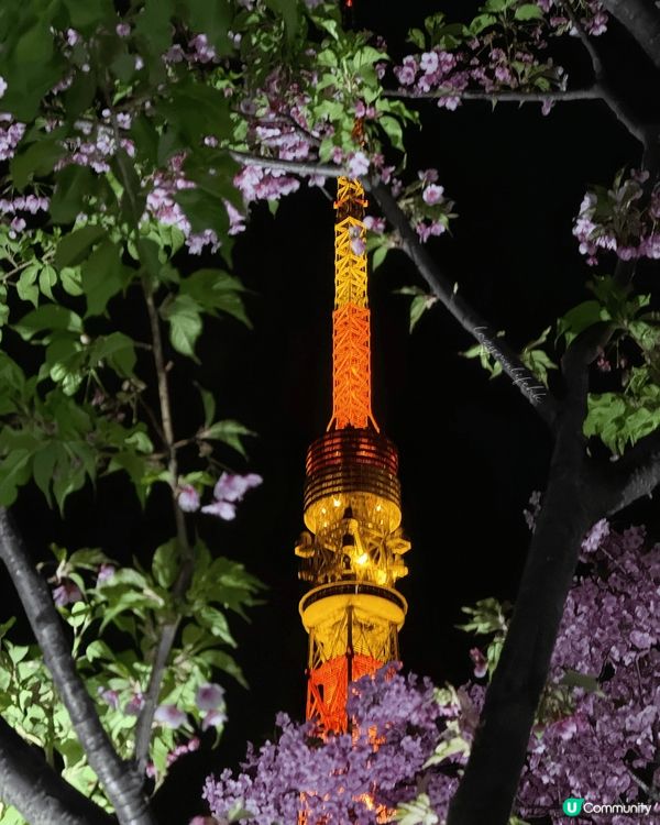 🌸【東京鐵塔被櫻花吃掉啦！麻布台秘境視角公開】🌸  出站抬頭...