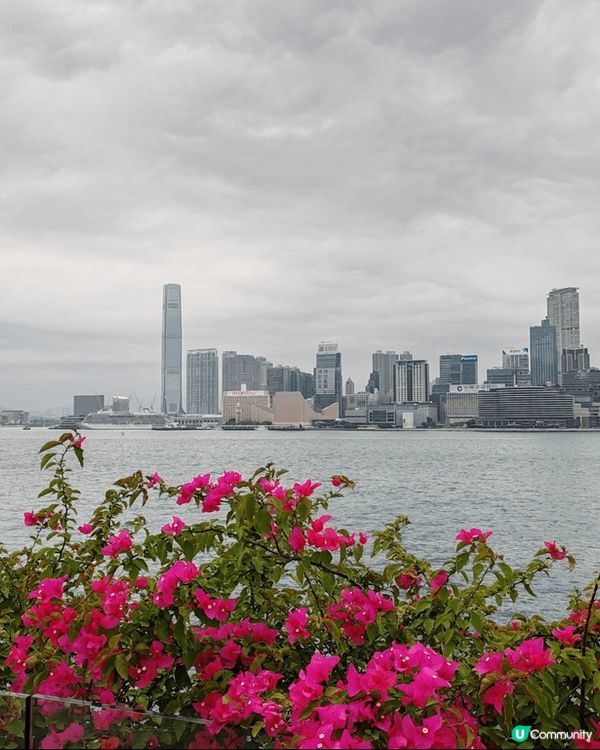 當人人都諗住復活節假期外遊嘅時候，香港都仲有好多地方和靚景值...