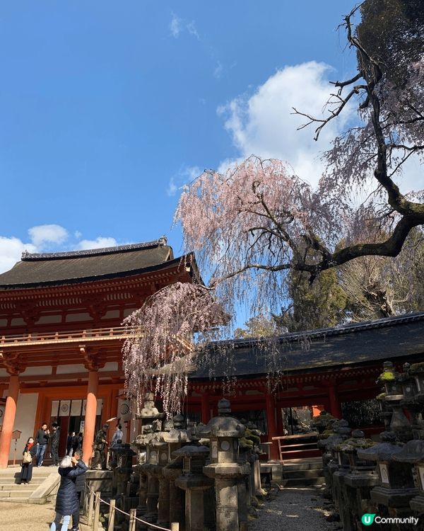 2019年3月頭，我自己一個去大阪玩呀！亦都係第一次在日本見...