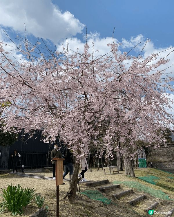 2019年3月頭，我自己一個去大阪玩呀！亦都係第一次在日本見...