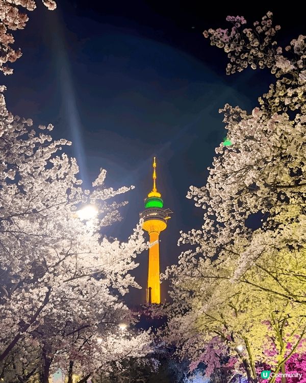 EWORLD星光櫻花節係我最愛嘅櫻花打卡熱點。EWORLD星...