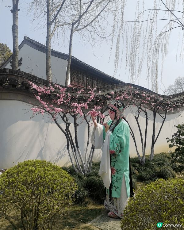 南京行：所有博物館都是星期一關門，今天行園林人民體驗！ 10...