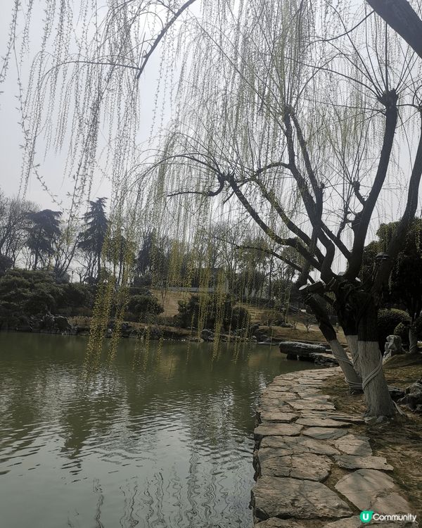 南京行：所有博物館都是星期一關門，今天行園林人民體驗！ 10...