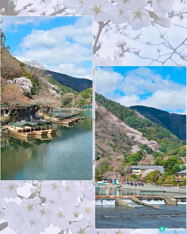 嵐山賞櫻一日遊🌸快閃攻略！