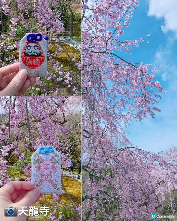 嵐山賞櫻一日遊🌸快閃攻略！