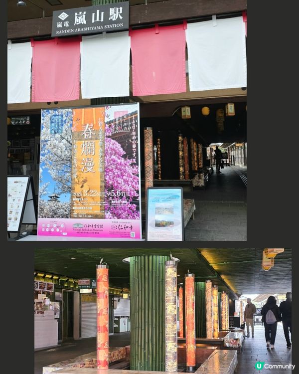 嵐山賞櫻一日遊🌸快閃攻略！