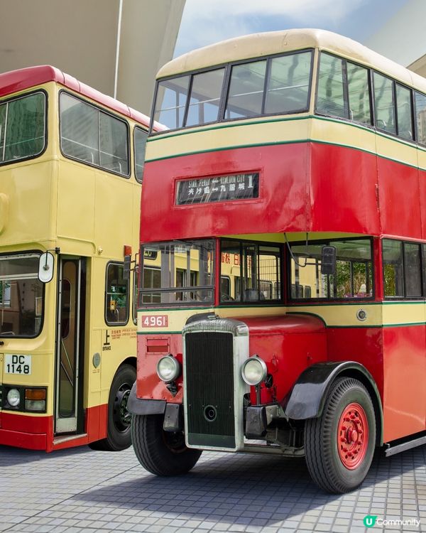 #親子好去處 ❤️玩轉馬灣巴年華🚌😍