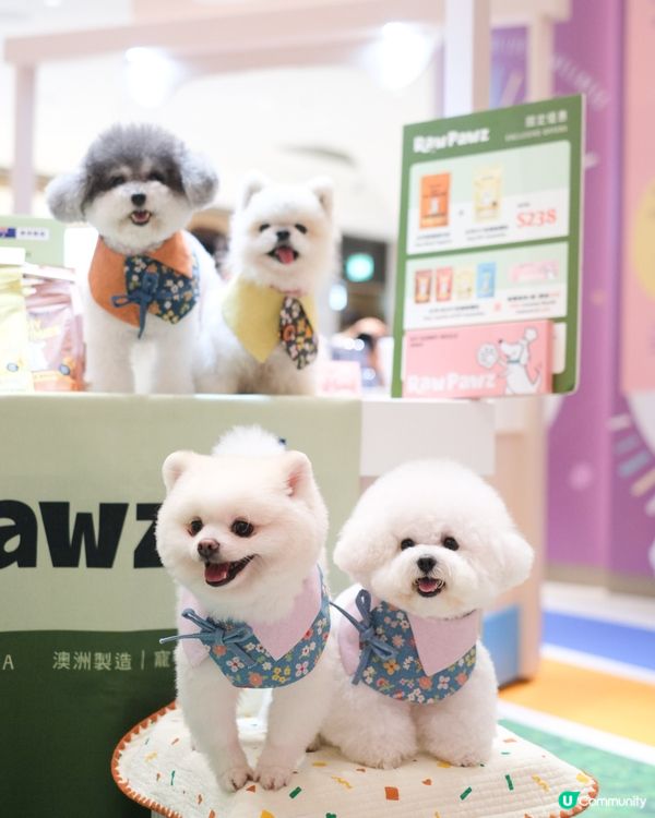 𝙏𝙝𝙚 𝙎𝙤𝙪𝙩𝙝𝙨𝙞𝙙𝙚 商場又大又新 