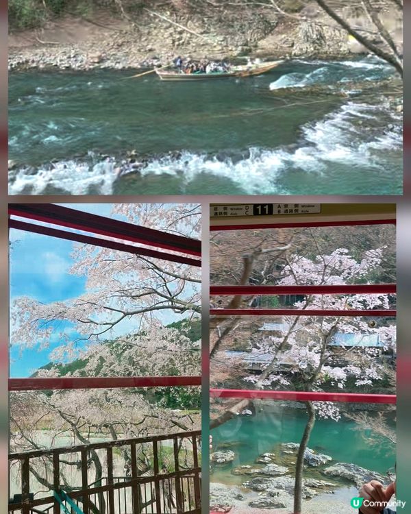 嵐山賞櫻一日遊🌸快閃攻略！