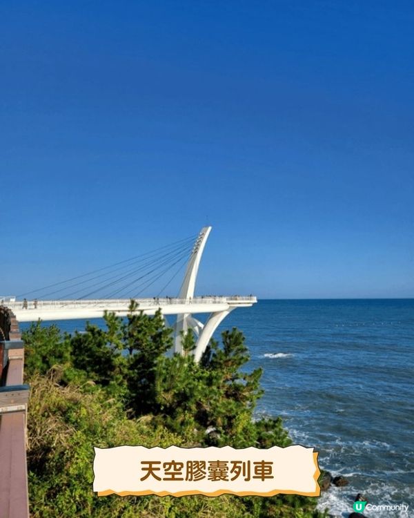 釜山快閃懶人包💙海雲台Cafe／天空列車／巨量海鮮拼盤🦀