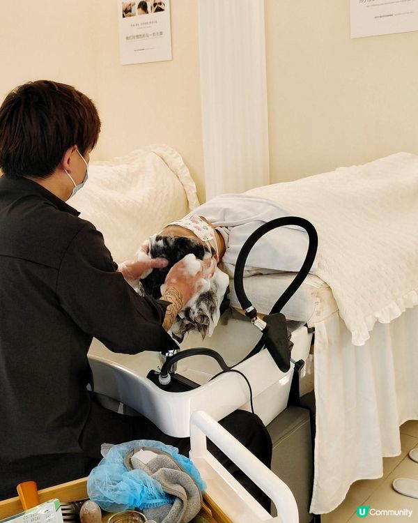 《年輕港人也知道的頭療》