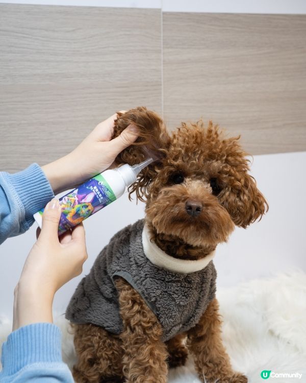 【寵主專享🐾】《社群》請您試用AQUA PRO+TECH「PET PET護理套裝」！
