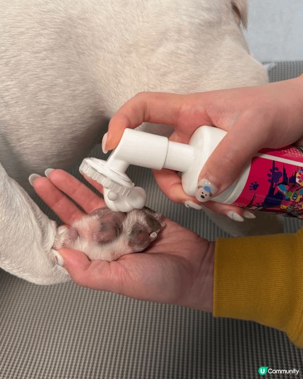 【寵主專享🐾】《社群》請您試用AQUA PRO+TECH「PET PET護理套裝」！