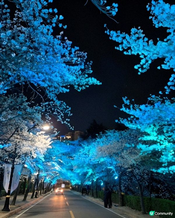 EWORLD星光櫻花節係我最愛嘅櫻花打卡熱點。EWORLD星...