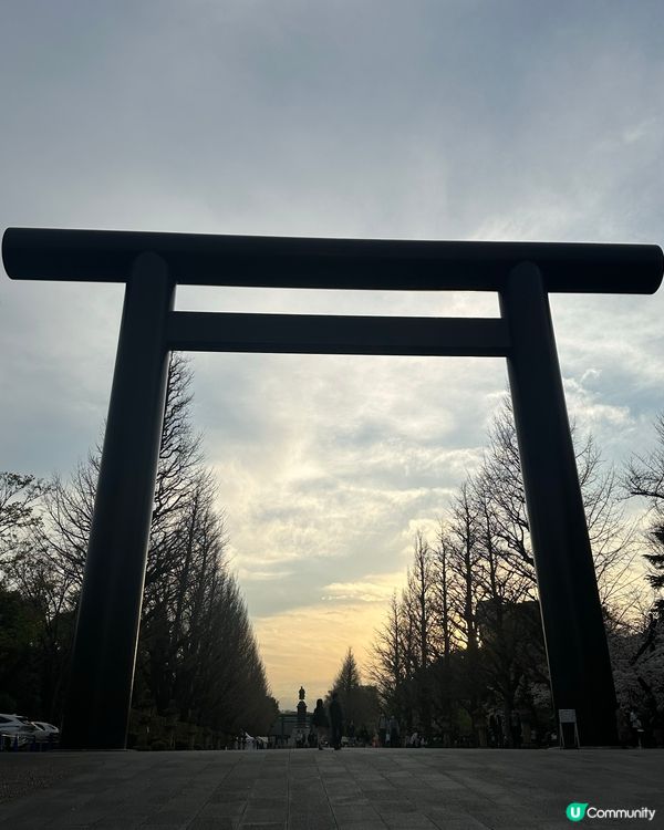 東京靖國神社🌸  櫻花盛放，美不勝收！