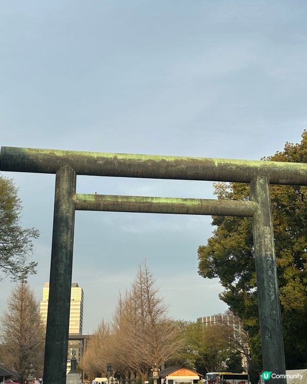 東京靖國神社🌸  櫻花盛放，美不勝收！
