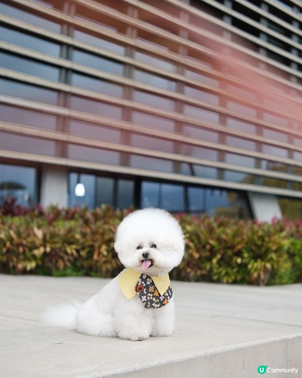 再熱啲真係唔出街㗎啦！