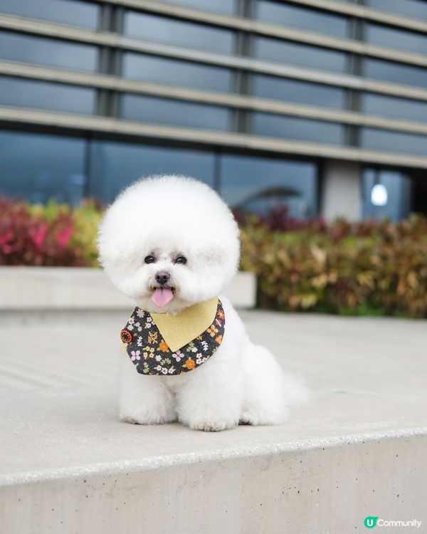 再熱啲真係唔出街㗎啦！