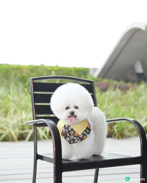 再熱啲真係唔出街㗎啦！