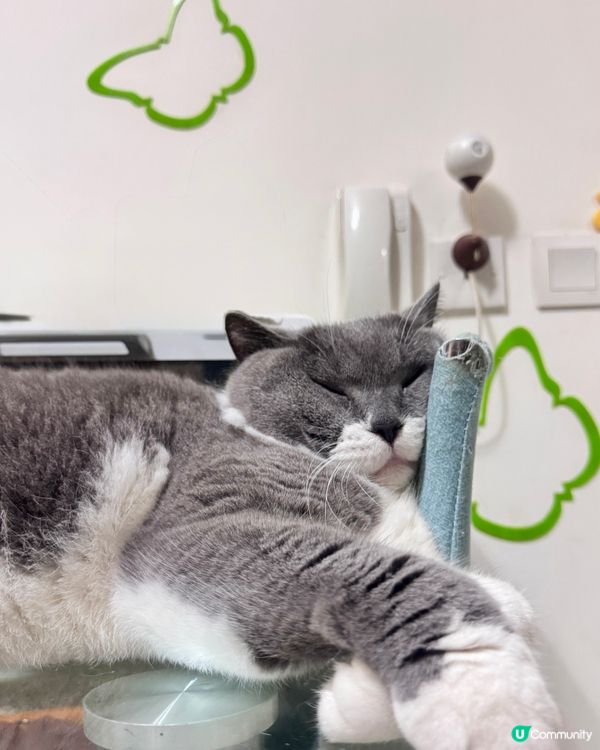 喂呀大哥⋯瞓到咁？冇晒形象了wor….