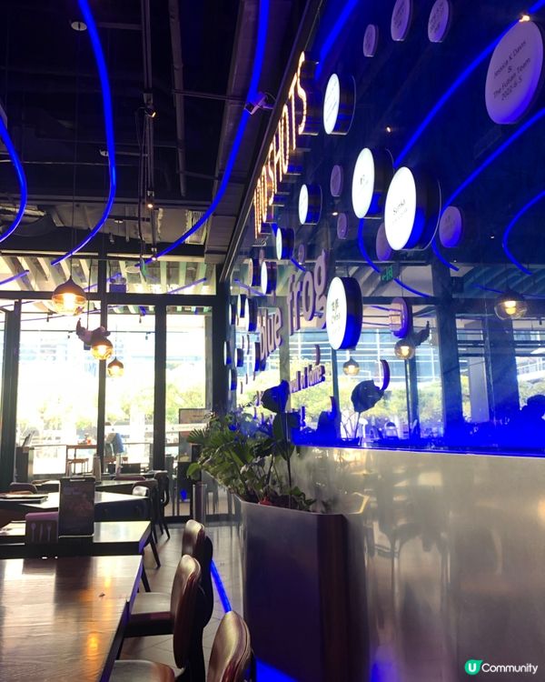 【深圳藍蛙餐廳美食推介】🐸🍴炸雞必食🍗果昔出色!🥤