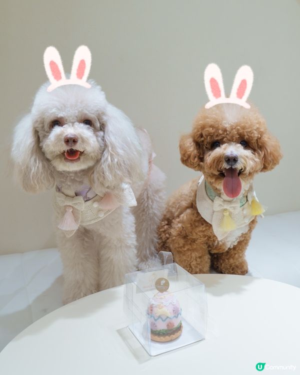 復活節假期玩到癲🤪