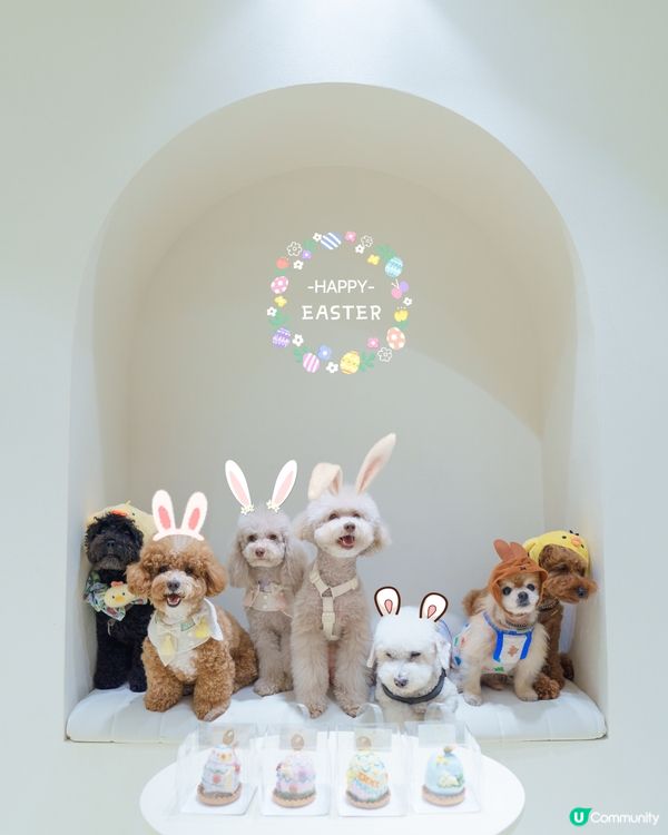 復活節假期玩到癲🤪