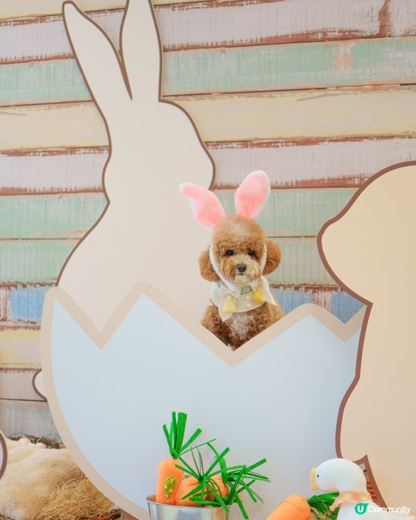 復活節假期玩到癲🤪