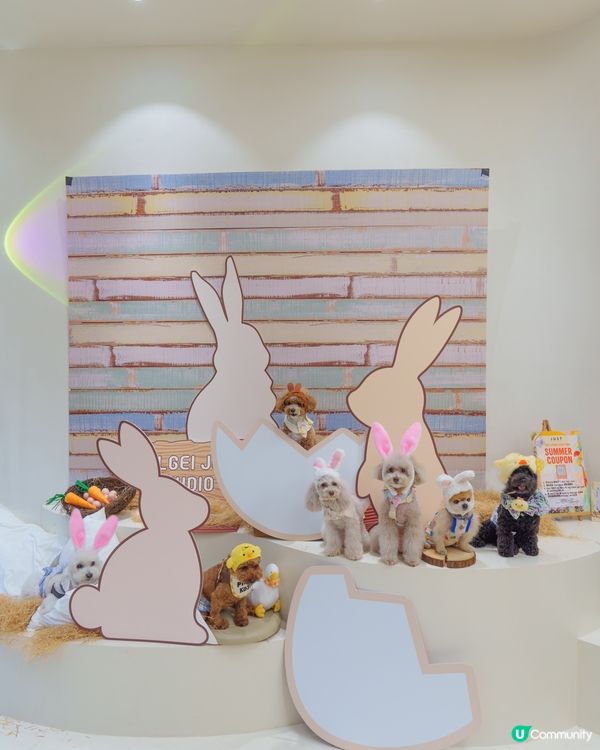 復活節假期玩到癲🤪