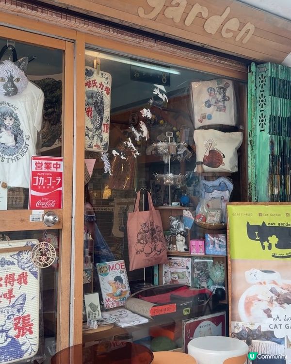 坪洲一日放空行｜放慢步調遇上的貓咪與港式茶記