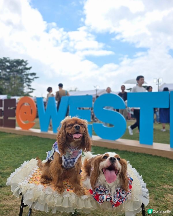 西九COFFEE festival hk