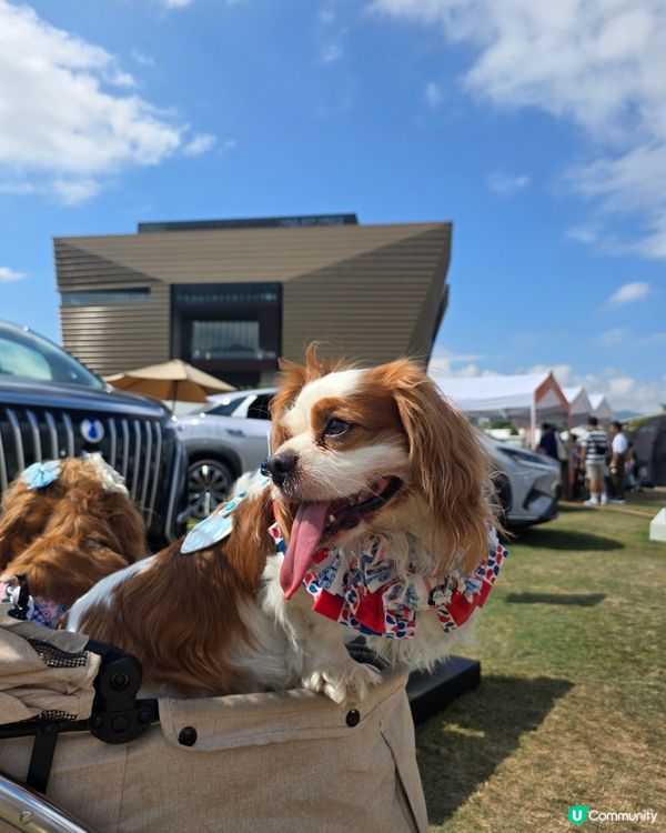 西九COFFEE festival hk