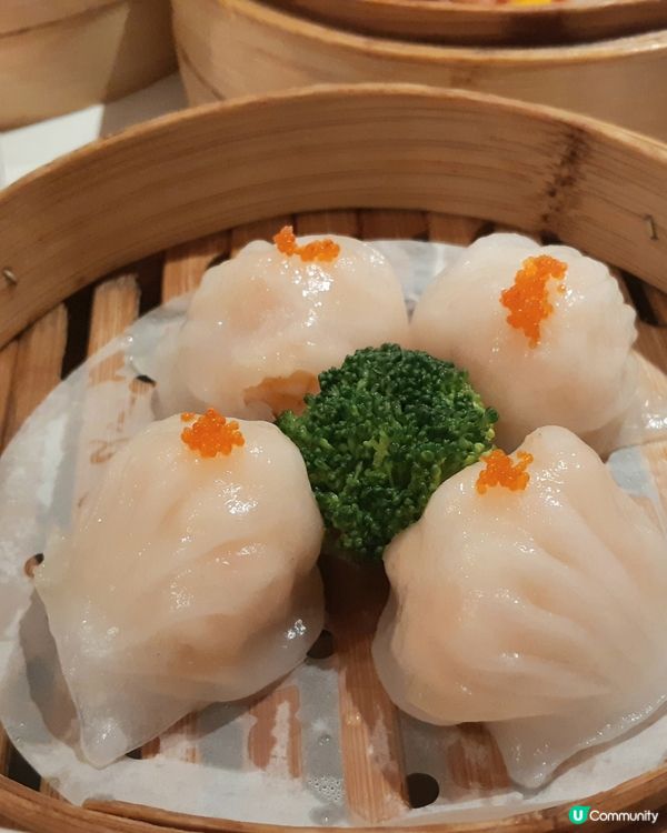 深圳美食探店😋 儲香樓點心之旅！