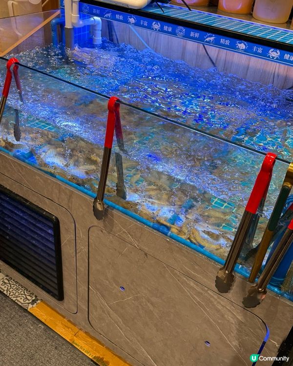 🦐🦀 海鮮任食，自己捉，超抵玩！