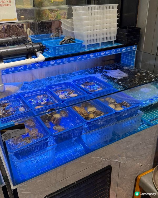 🦐🦀 海鮮任食，自己捉，超抵玩！