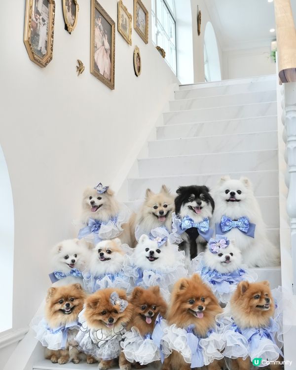 復活節人寵狂歡祭