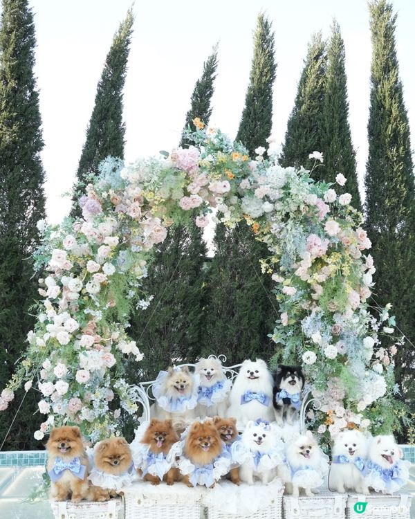 復活節人寵狂歡祭