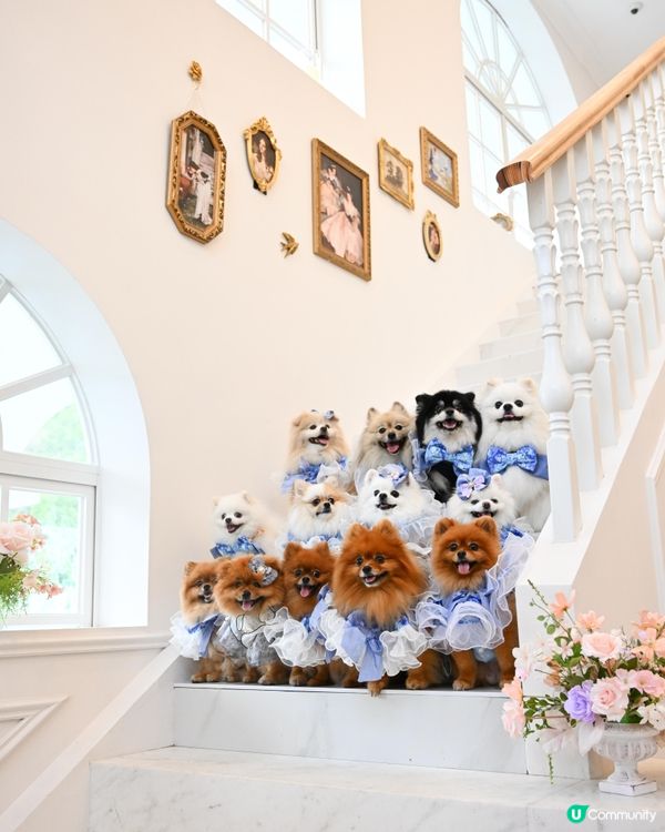 復活節人寵狂歡祭