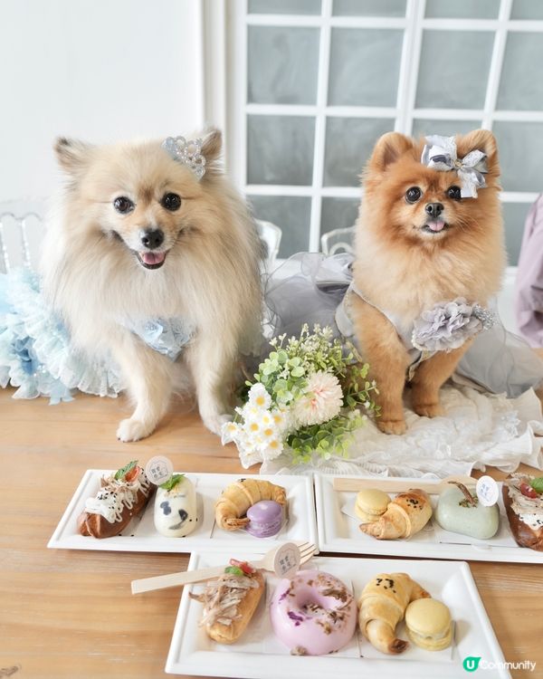 復活節人寵狂歡祭