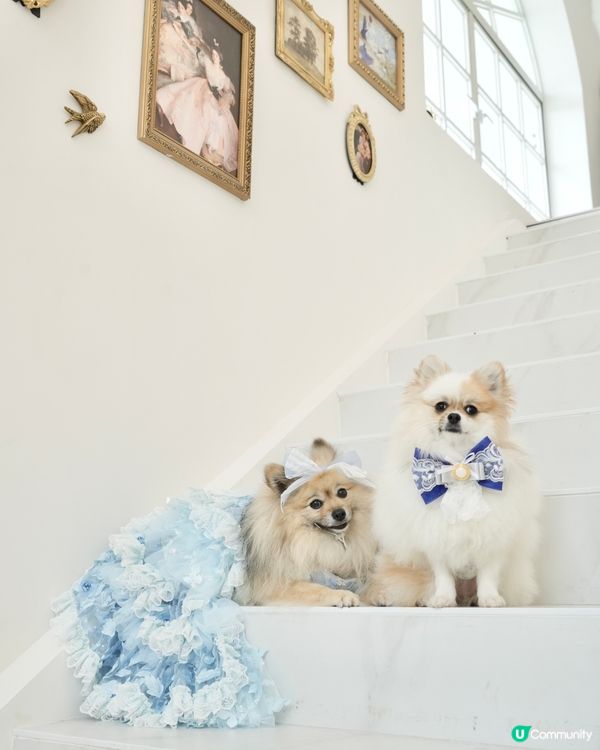 復活節人寵狂歡祭