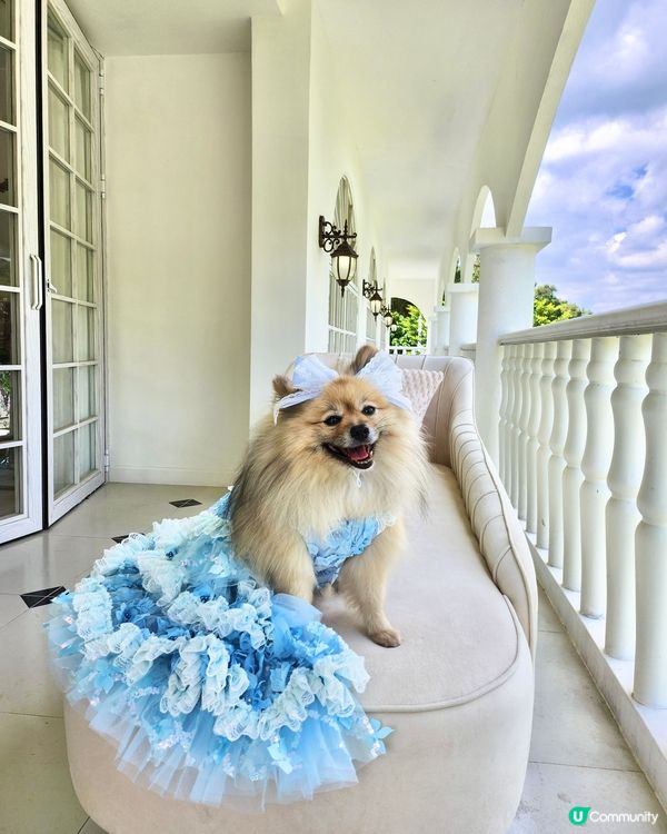 復活節人寵狂歡祭