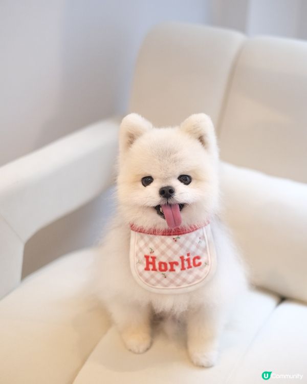 全新紅白Cafe❤️🤍❤️🤍 